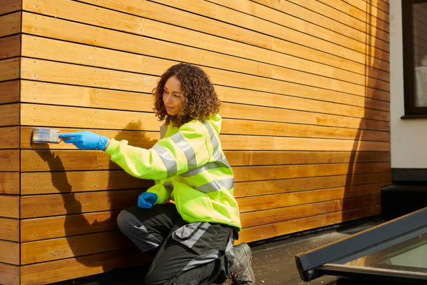 Best Vinyl Siding Installation  in Rogersville, TN