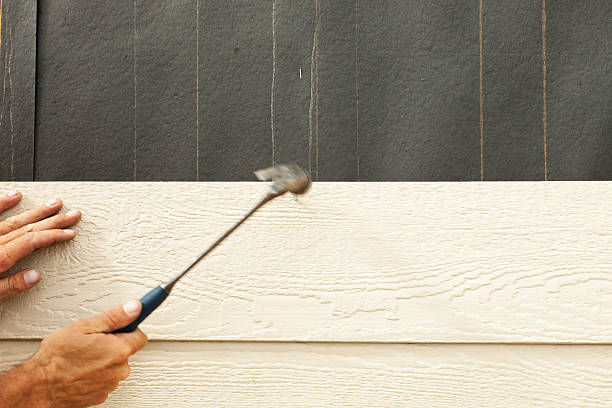 Best Wood Siding Installation  in Rogersville, TN
