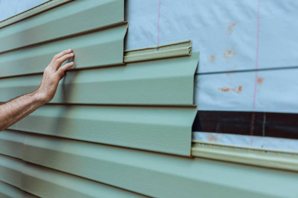 Best Storm Damage Siding Repair  in Rogersville, TN